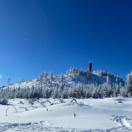 הוילה Bergtraum Braunlage Im Harz, 17 Gaeste, Sauna, Pool מראה חיצוני תמונה