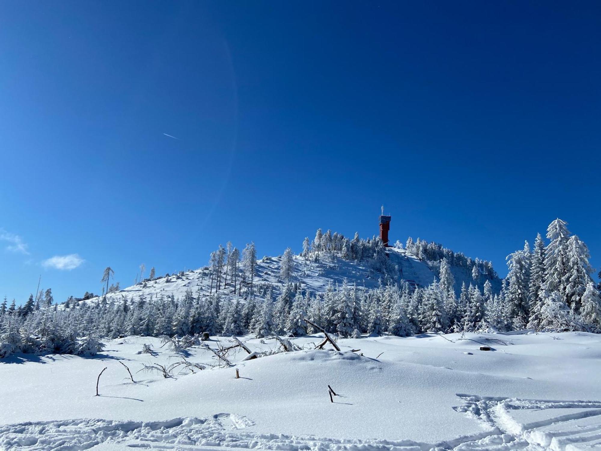 הוילה Bergtraum Braunlage Im Harz, 17 Gaeste, Sauna, Pool מראה חיצוני תמונה