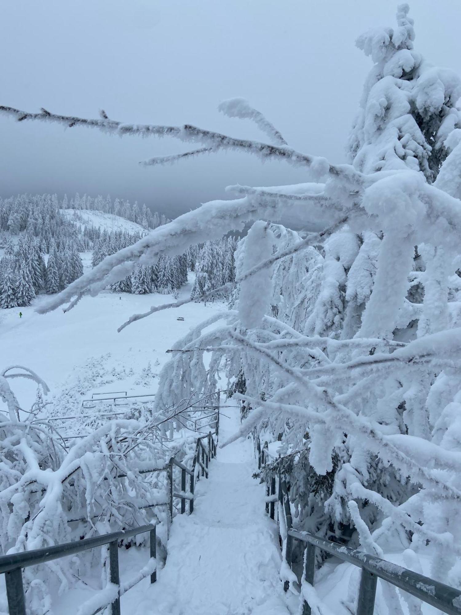 הוילה Bergtraum Braunlage Im Harz, 17 Gaeste, Sauna, Pool מראה חיצוני תמונה